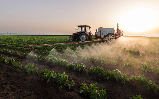 Best Pest Inspection Near Me  in Worth, IL