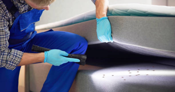 Best Best Pest Control Companies  in Worth, IL