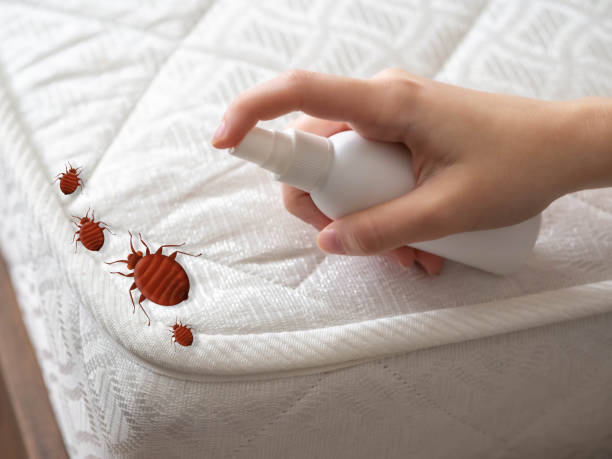 Best Residential Pest Control  in Worth, IL