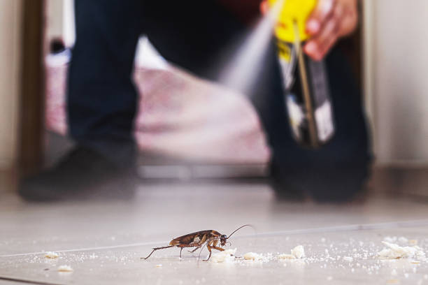 Best Residential Pest Control  in Worth, IL